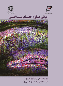 پایانه - مبانی علوم اعصاب شناختی