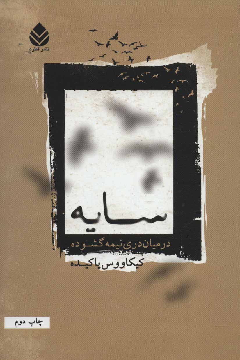 پایانه - سایه در میان دری نیمه گشوده