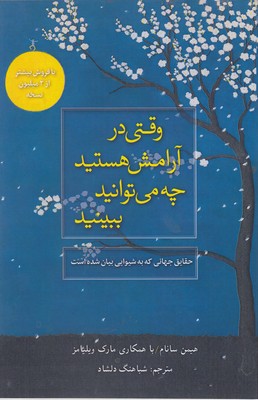پایانه - وقتی در آرامش هستید چه می توانید ببینید