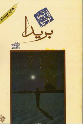 پایانه - بریدا