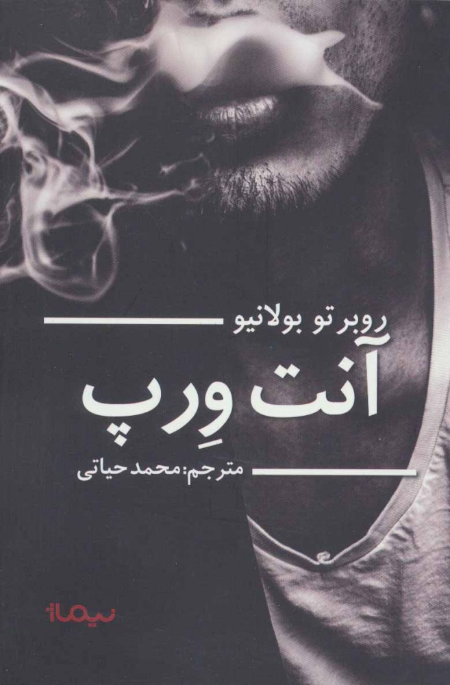 پایانه - آنت ورپ