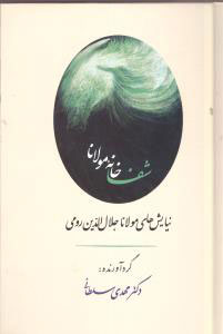 پایانه - شفاخانه مولانا