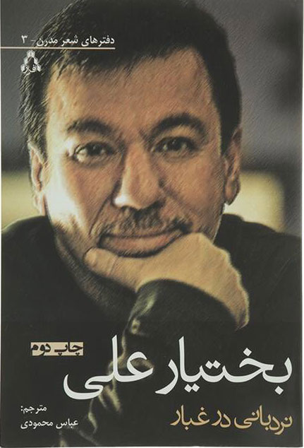 پایانه - نردبانی در غبار