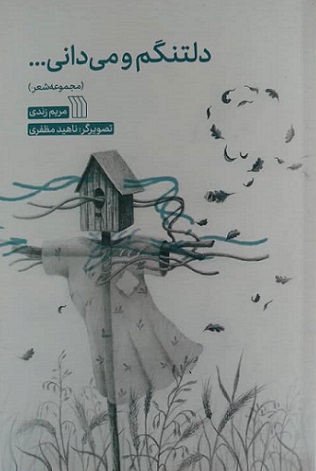 پایانه - دلتنگم و می دانی...