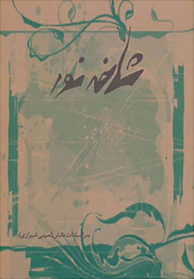 پایانه - شاخه نور