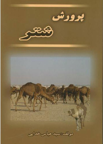 پایانه - پرورش شتر