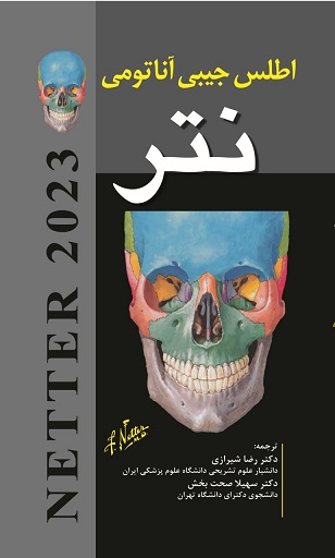 پایانه - اطلس جیبی آناتومی نتر 2023