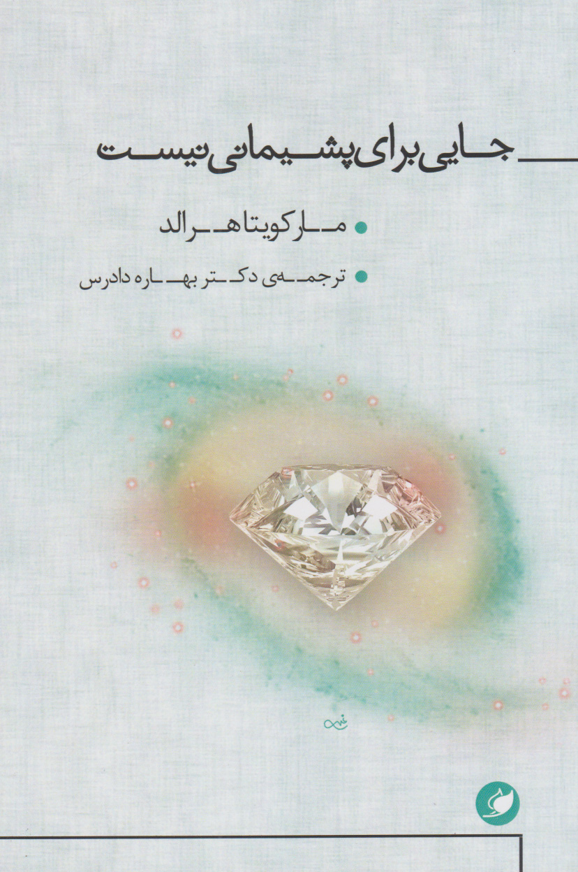 پایانه - جایی برای پشیمانی نیست