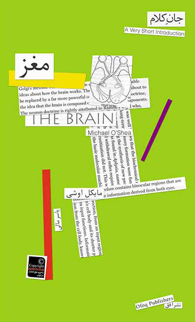 پایانه - مغز