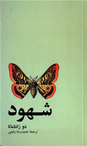 پایانه - شهود