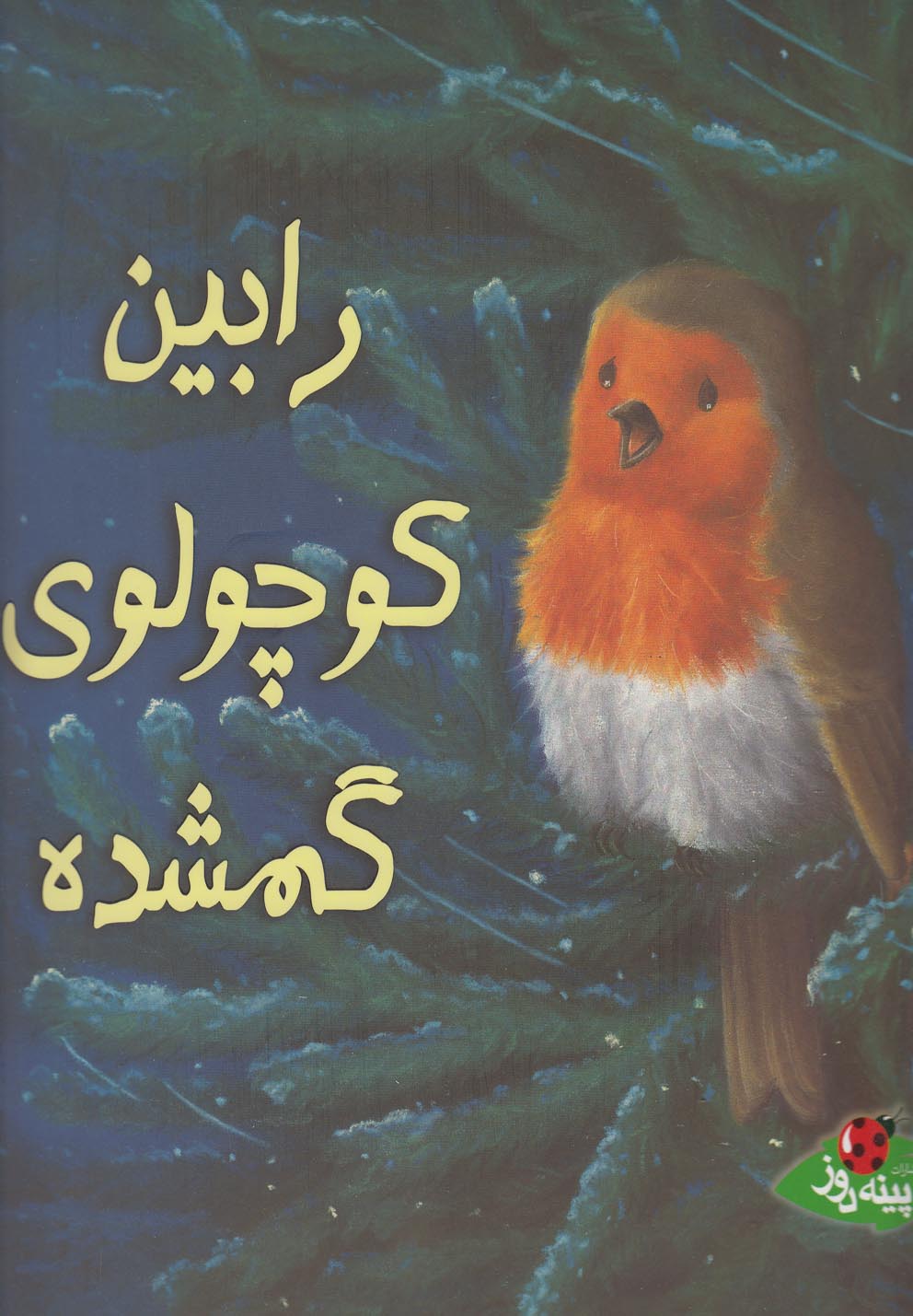 پایانه - رابین کوچولوی گمشده