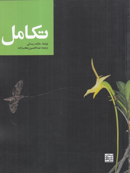 پایانه - تکامل