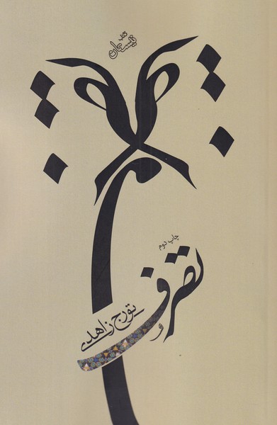 پایانه - تصرف