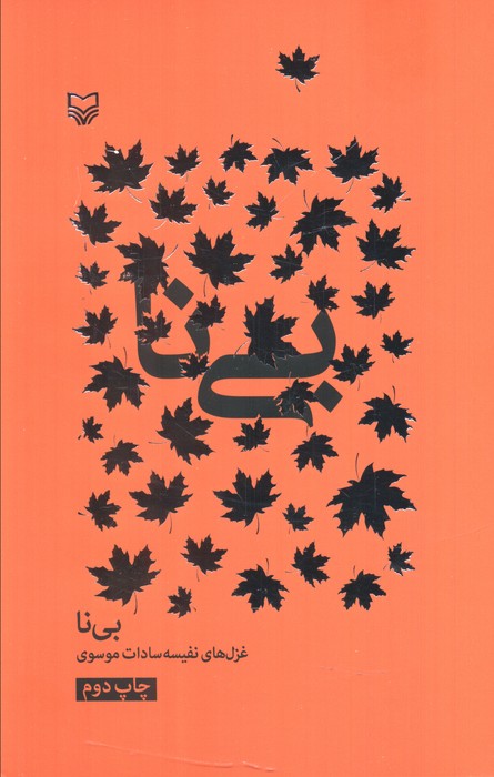 پایانه - بی نا