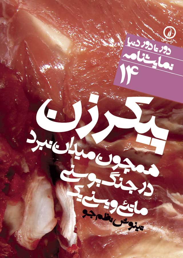 پایانه - پیکر زن همچون میدان نبرد در جنگ بوسنی