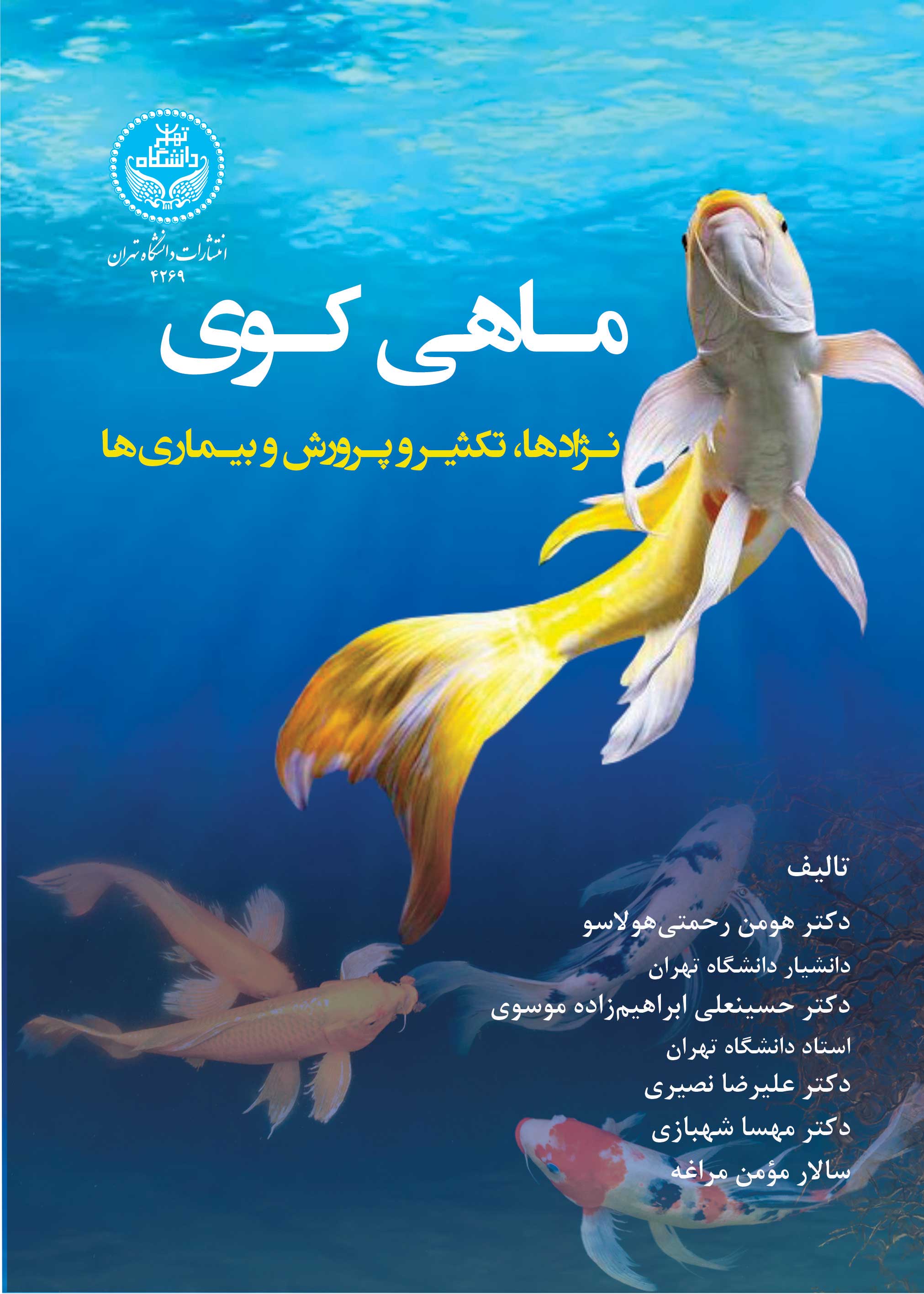 پایانه - ماهی کوی