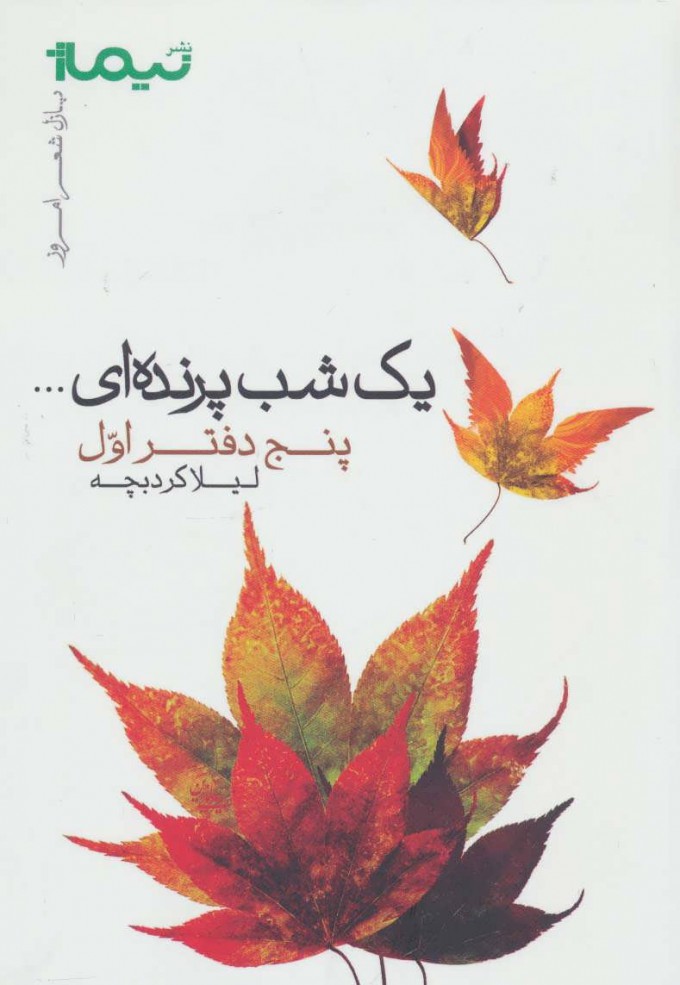 پایانه - یک شب پرنده ای...