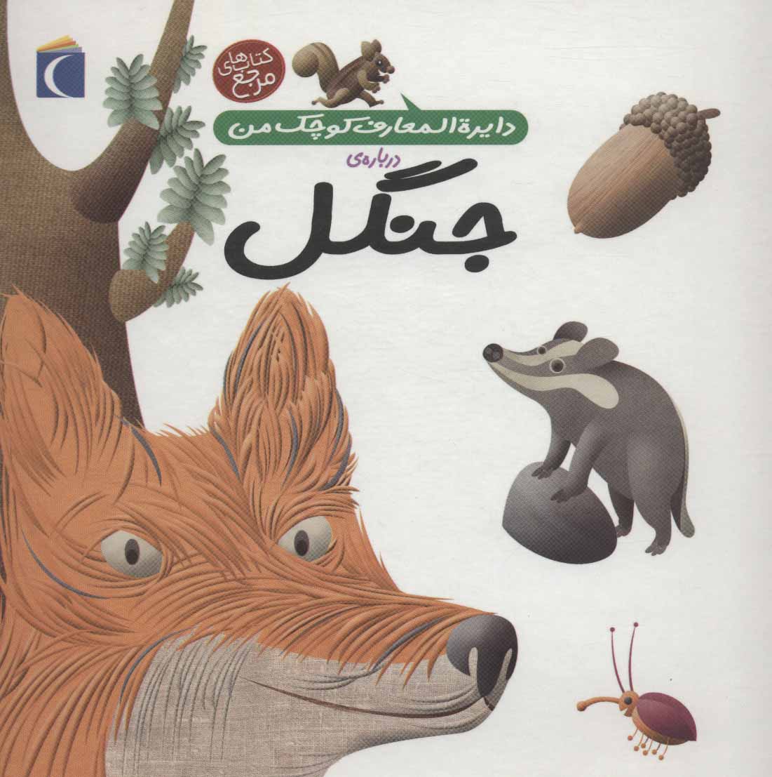 پایانه - درباره ی جنگل