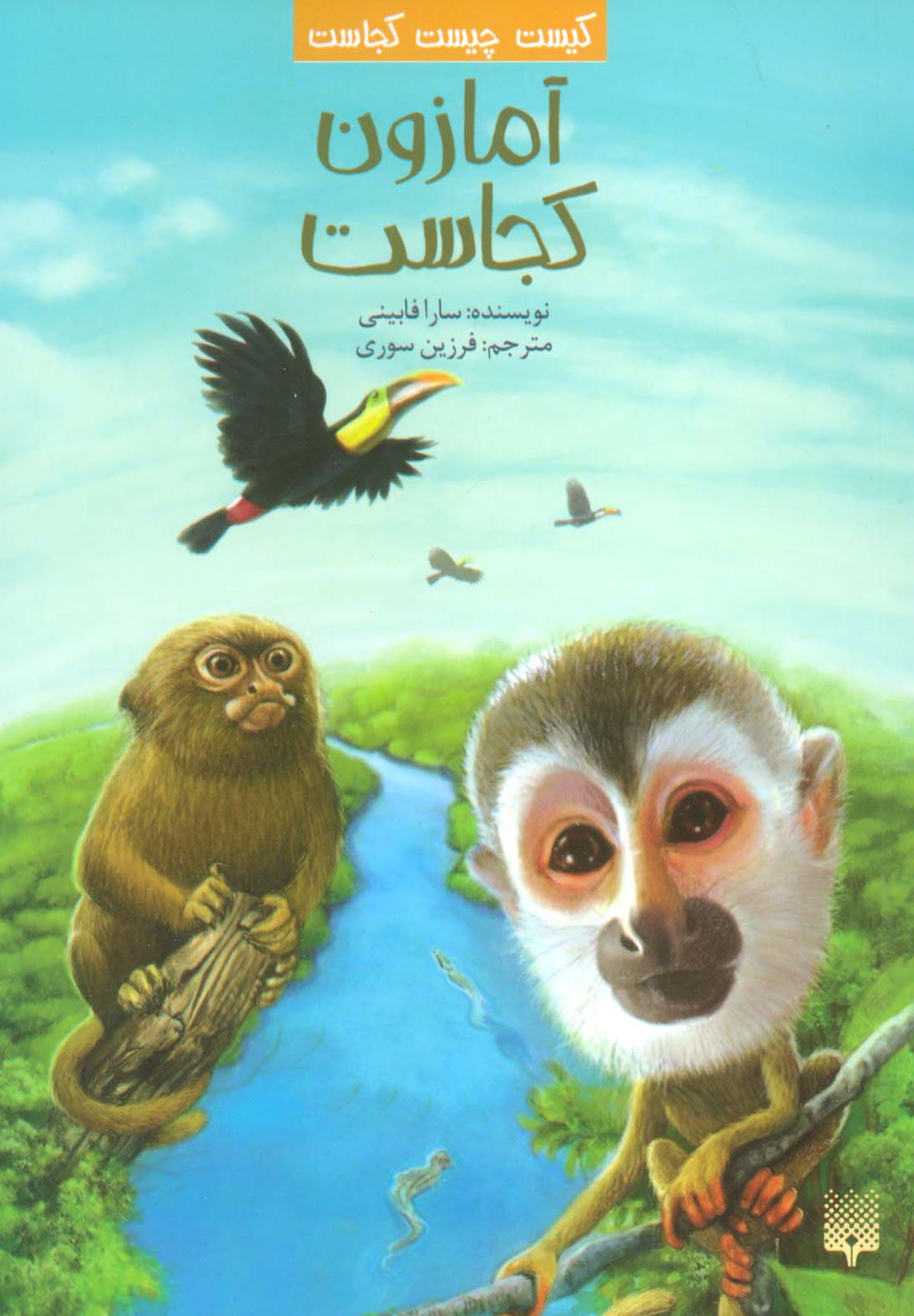 پایانه - آمازون کجاست؟