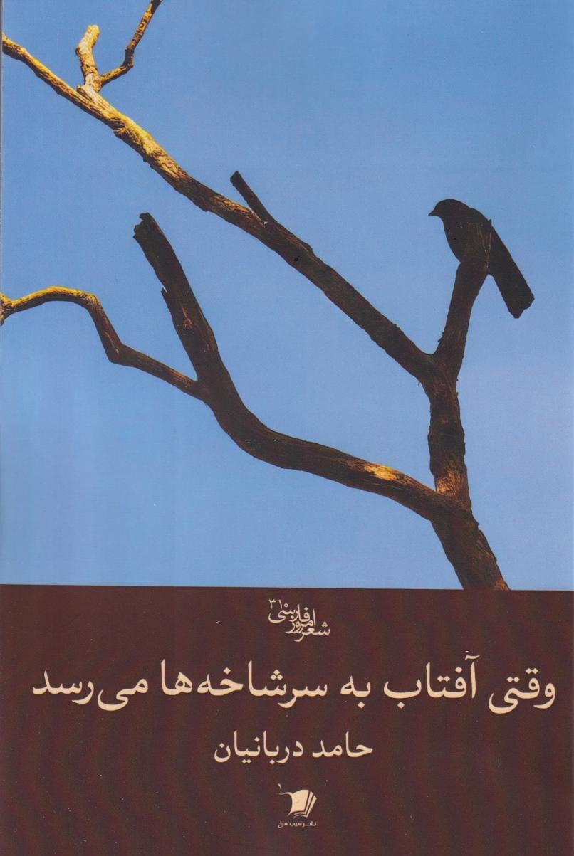 پایانه - وقتی آفتاب به سر شاخه ها می رسد