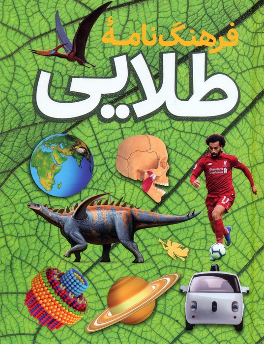 پایانه - فرهنگ نامه طلایی