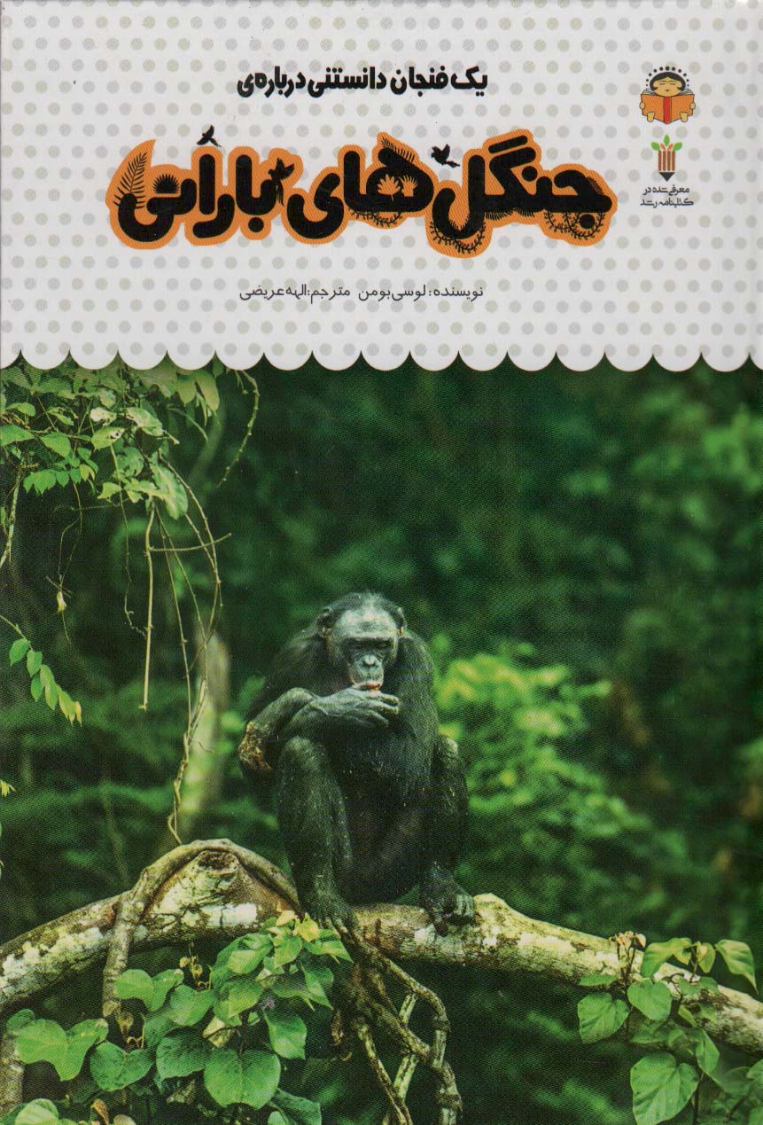 پایانه - یک فنجان دانستنی درباره ی جنگل های بارانی