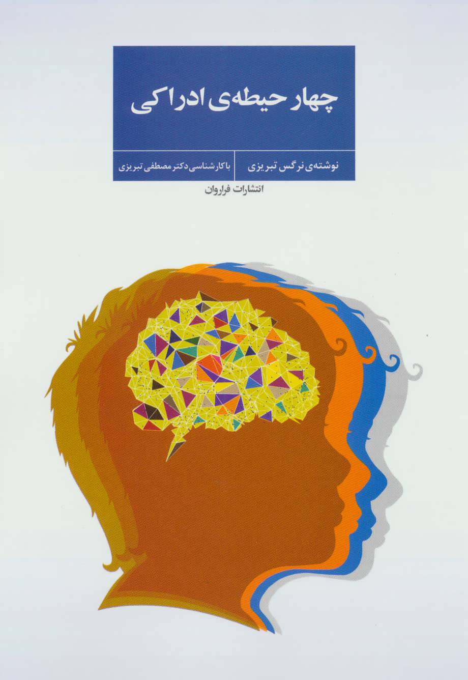 پایانه - چهار حیطه ی ادراکی