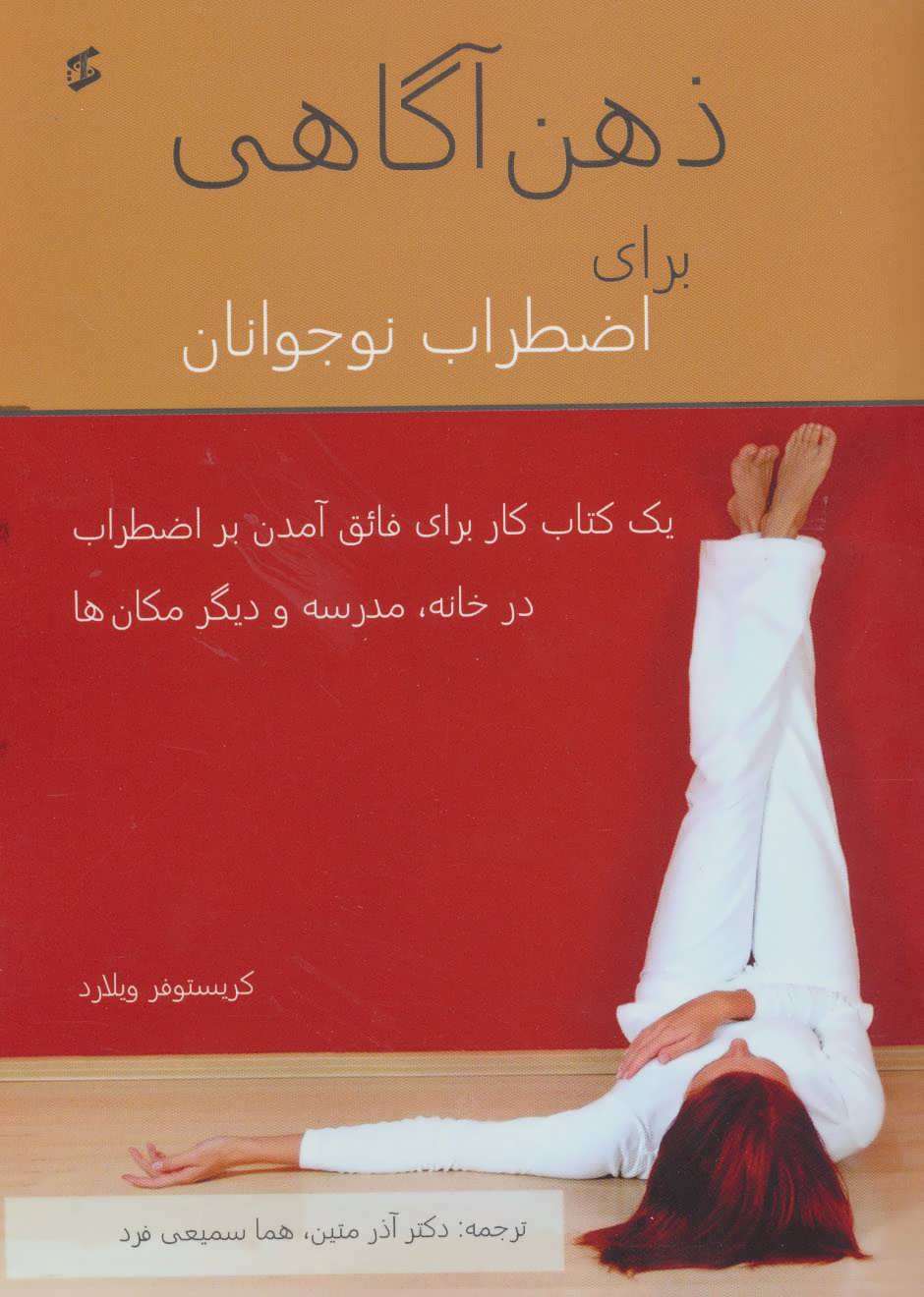 پایانه - ذهن آگاهی